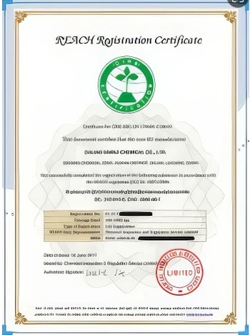 REACH Registration Certificate